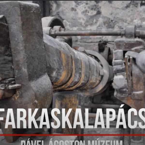 Farkaskalapács rövid bemutatása